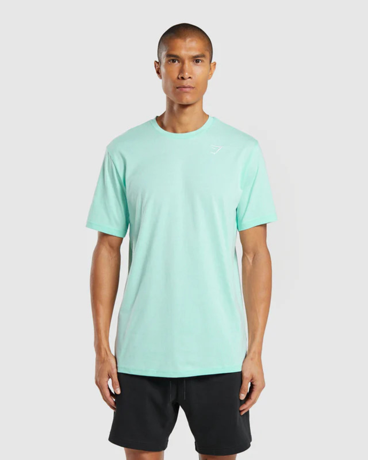 male model in mint blue t-shirt/ link to detailed product page