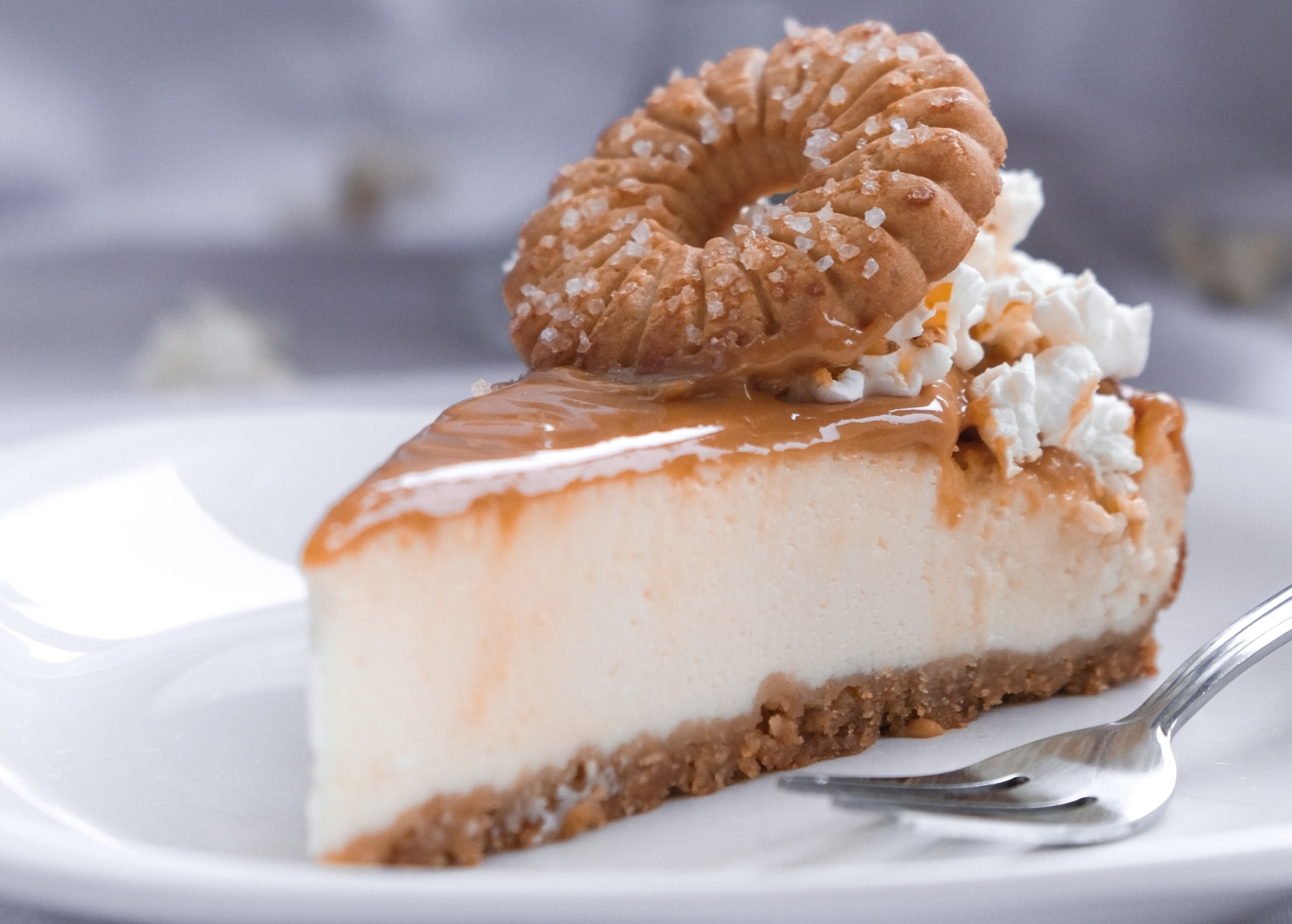 A slice of a cookie cheesecake