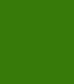 pigment green colour swatch