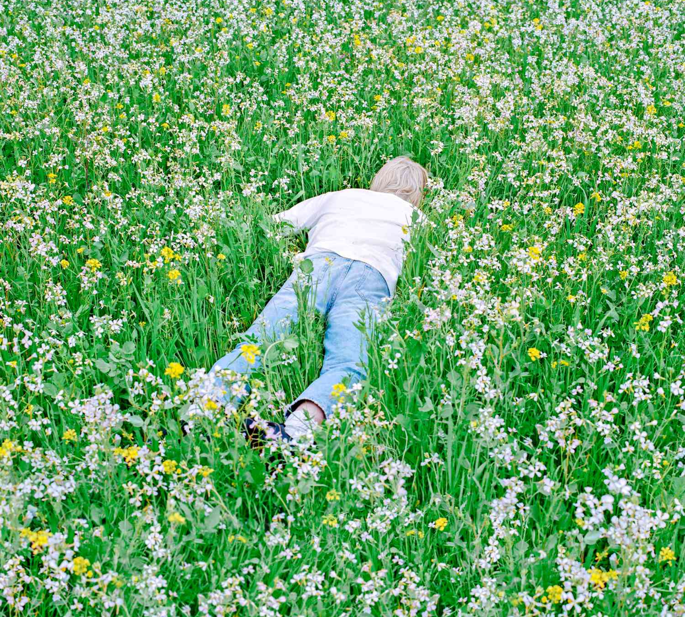 A man lying face-down in a field of flowers