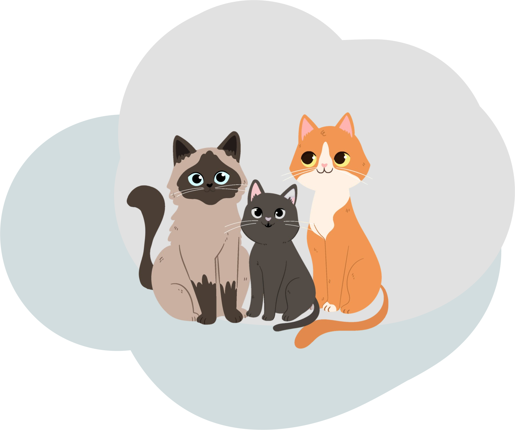 Banner image of 3 cartoon cats