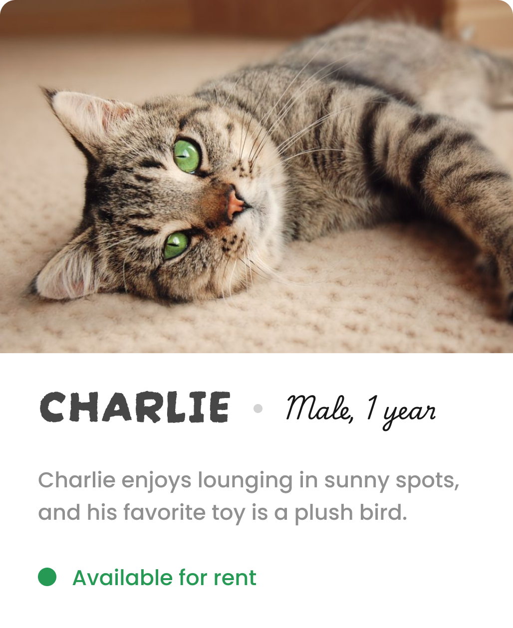 Bio info of Charlie the cat