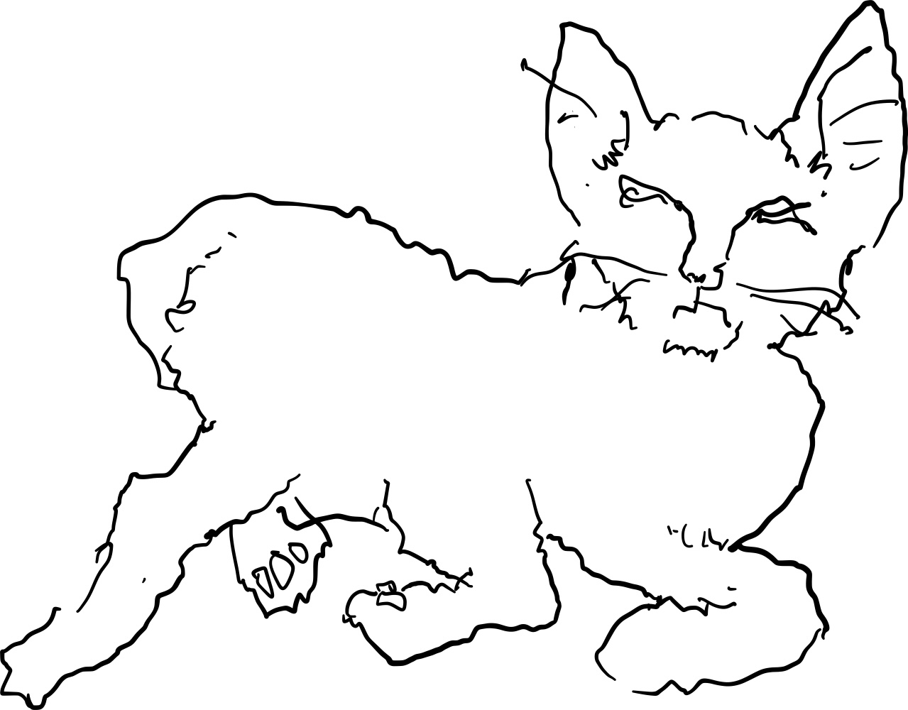 A line drawing of a happy kitten