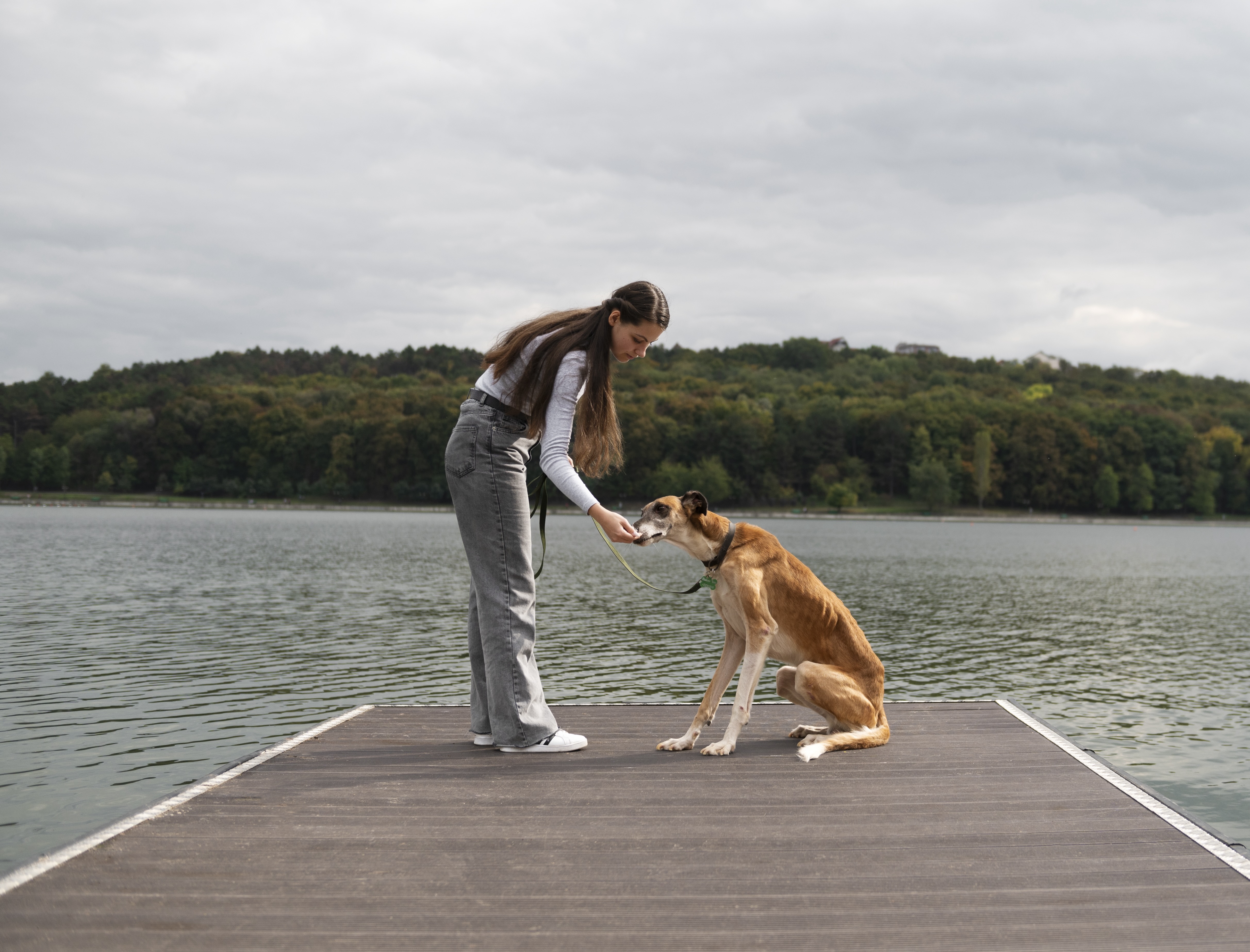 Female dog trainer with sitting dog on dock, image links to video on professional training benefits