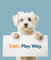 A white puppy holding a white sign saying train. play. wag.