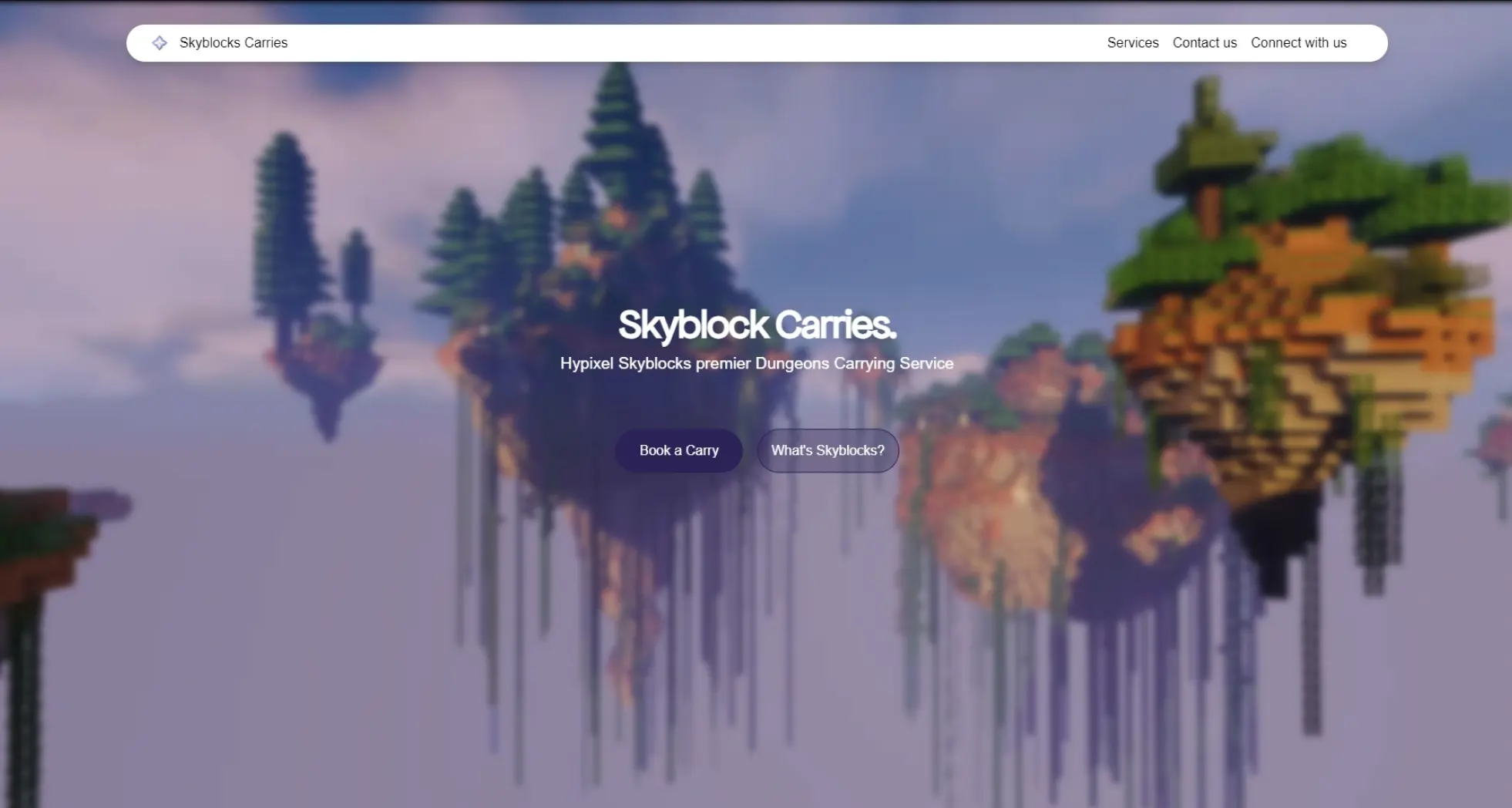 Image of the project Skyblock Carries website