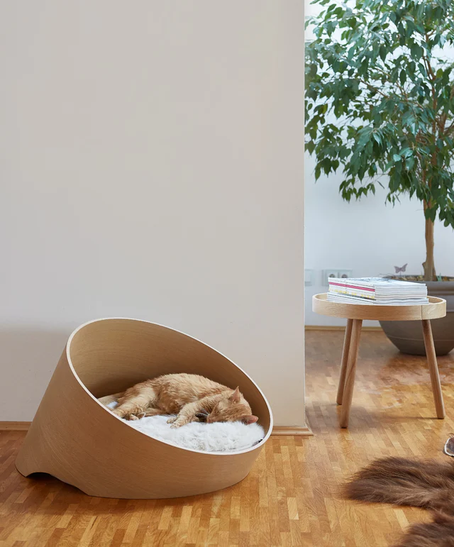 Orange cat sleeping in wooden cat bed in a living space