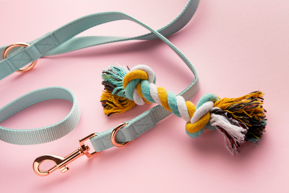 Momoko Dog Leash