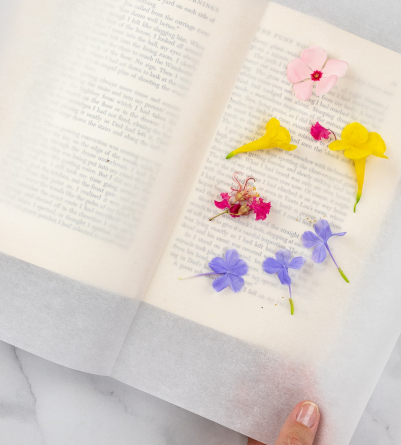 Flowers placed in a book