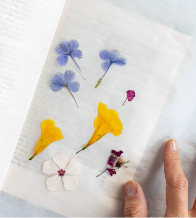 Open Book with pressed flowers