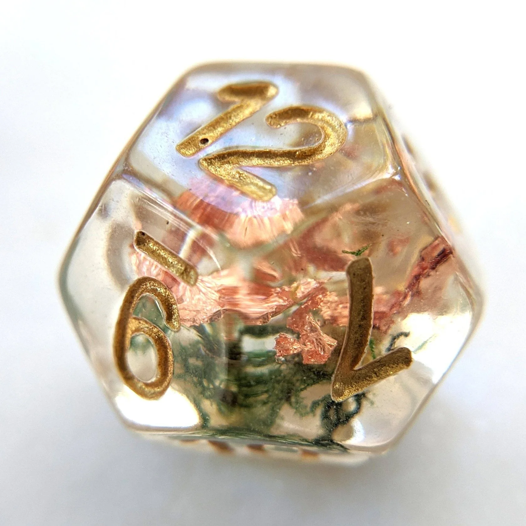 A single moss and copper die