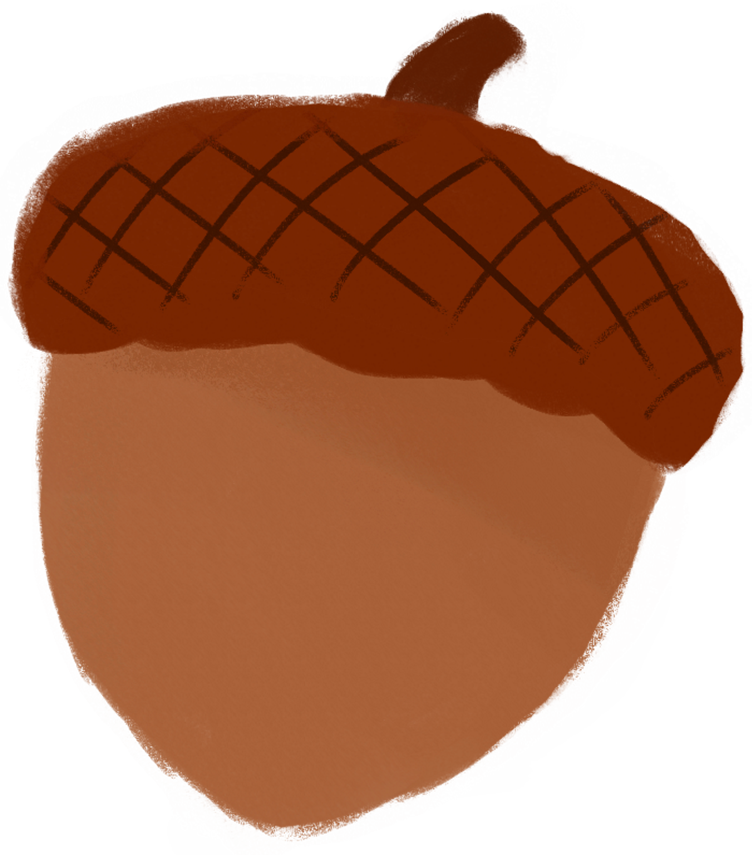 a brown acorn