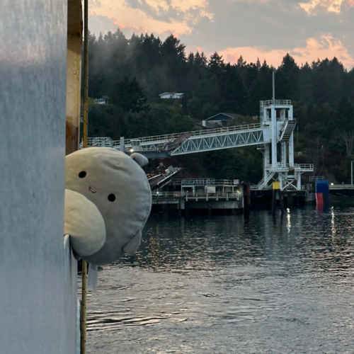 My car squishmellow, Finley, hanging off of a ferry in Victoria, heading towards Tsawwassen.