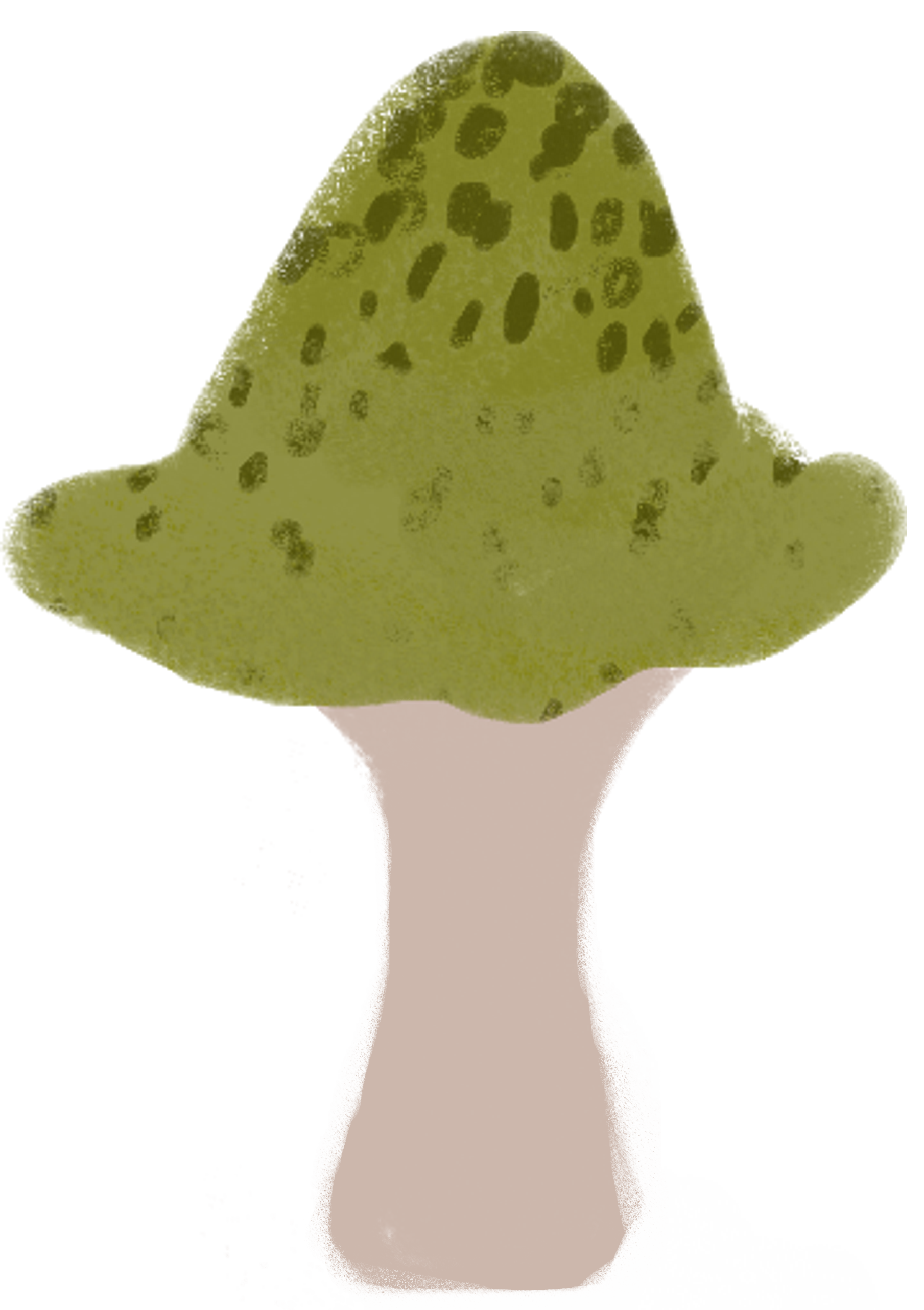 a green mushroom with spots