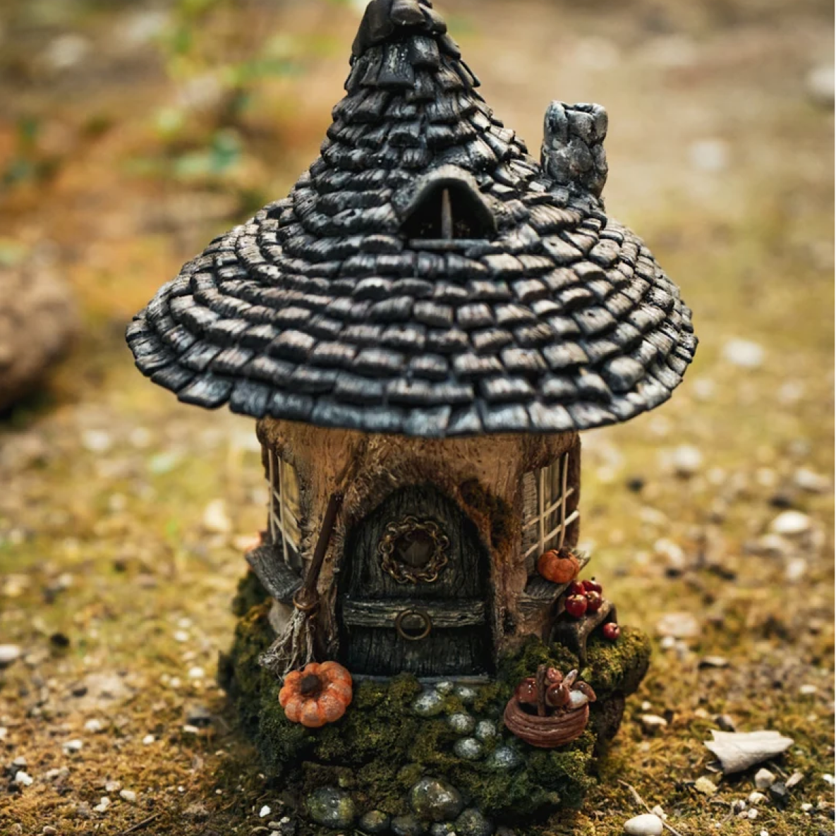 acorn shaped house