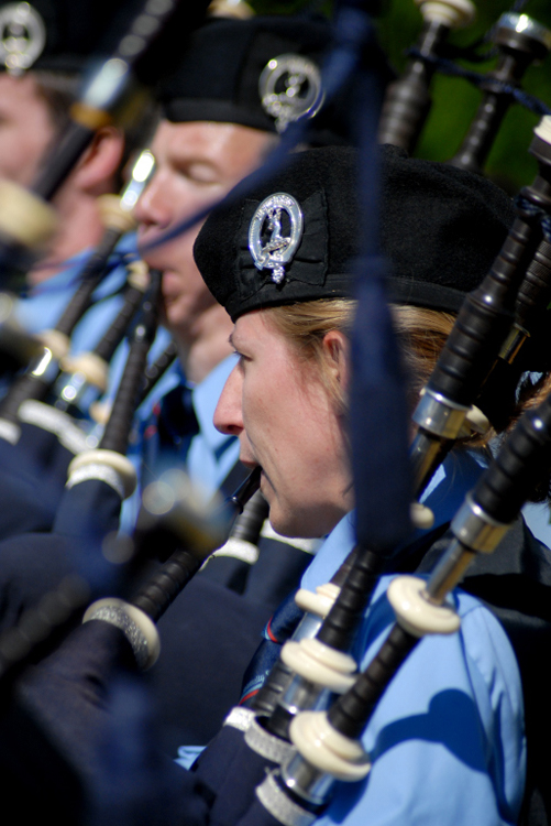 pipeband (351)