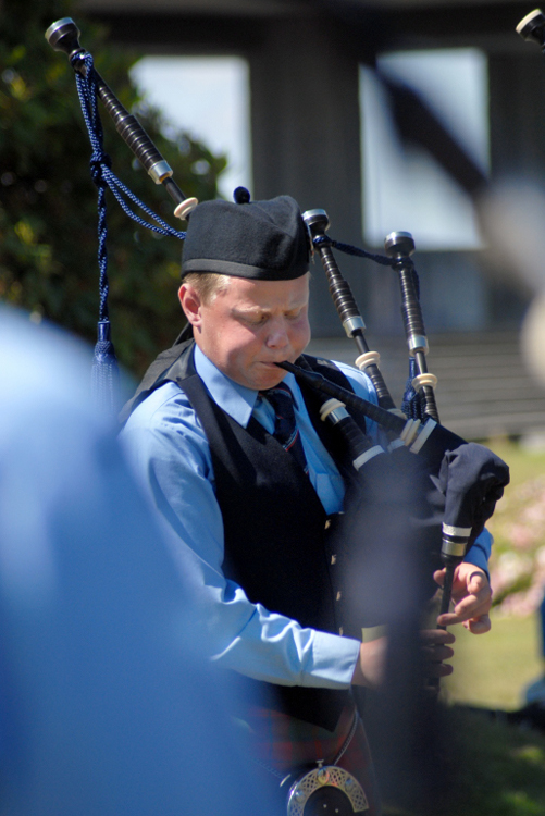 pipeband (353)