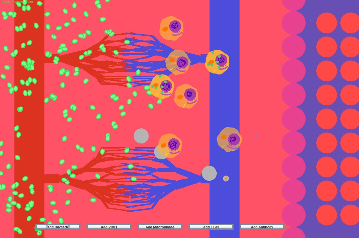 Immune System screenshot