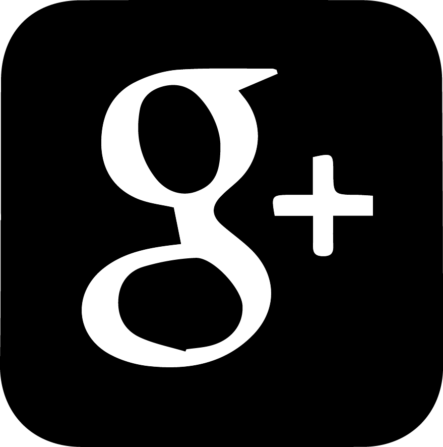 Google+ Logo