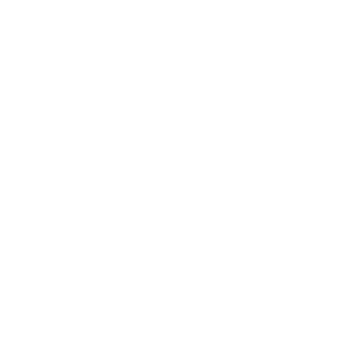 A Facebook icon