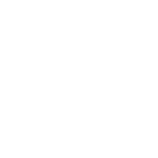 An Instagram icon