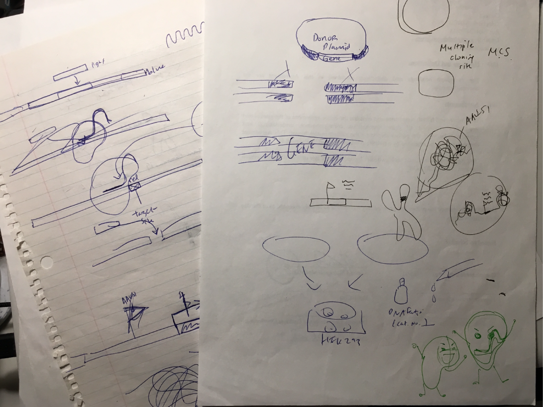 Sketches of ideas for the video scenes