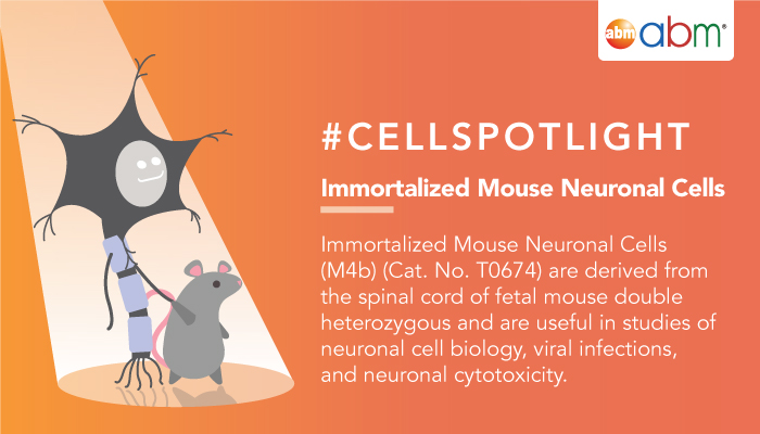 illustraion of a mouse and a neuron holding hands