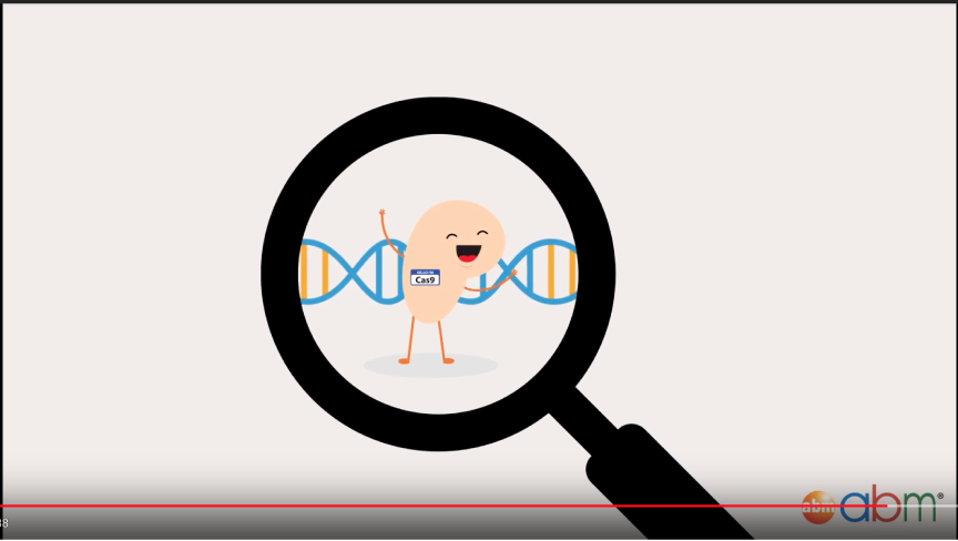 a frame from the CRISPR video that contains a character I created