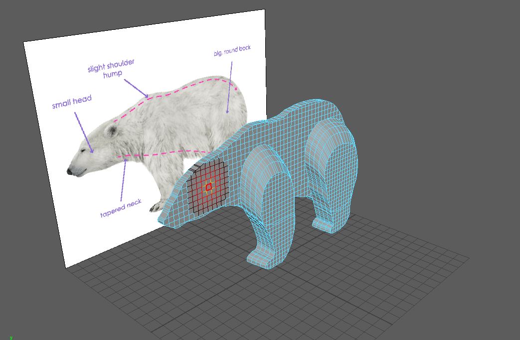 half of the 3D polygon of a polar bear, beside a diagram of a polar bear in Maya