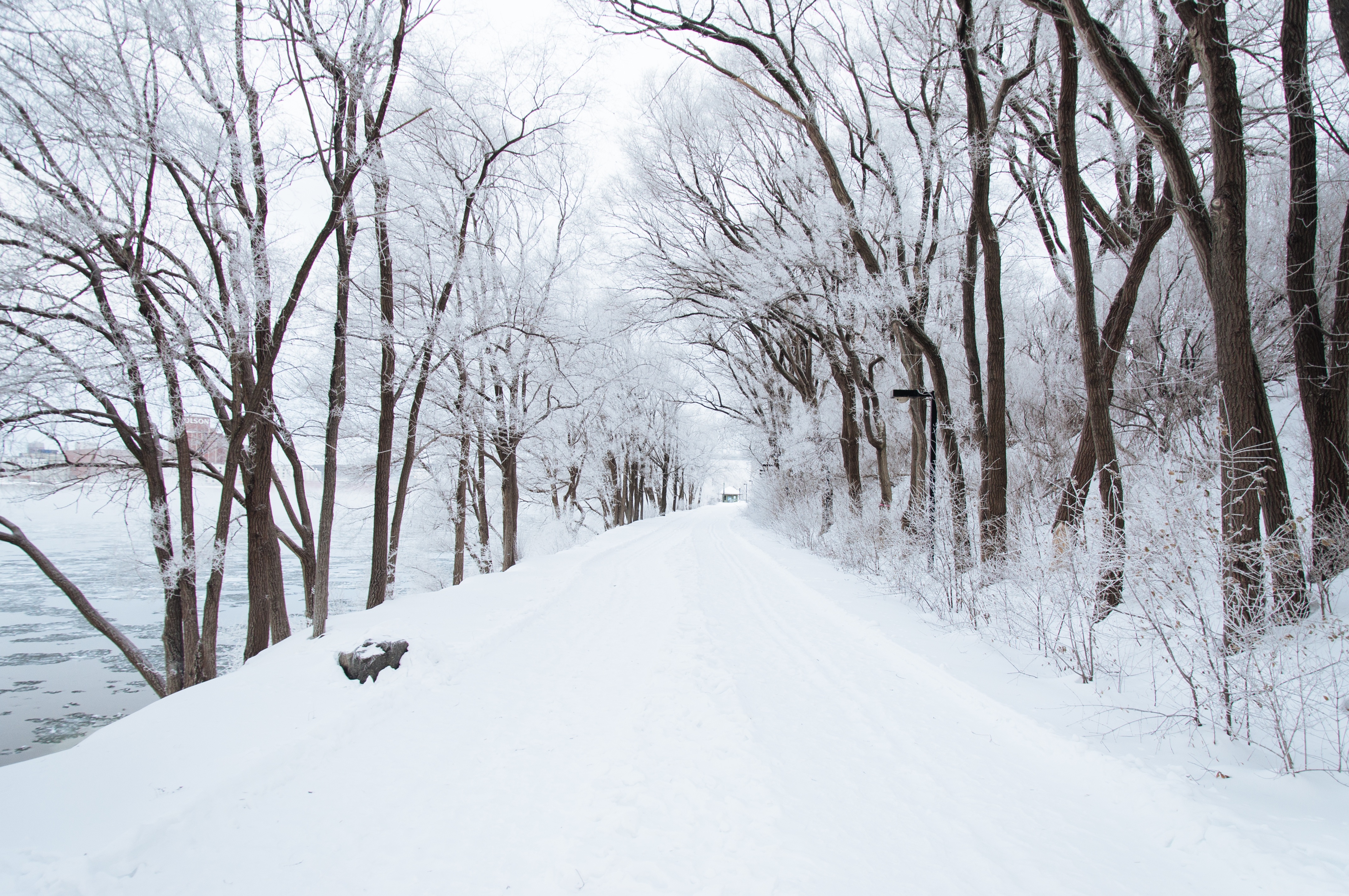 source: https://static.pexels.com/photos/4022/cold-snow-forest-trees.jpeg