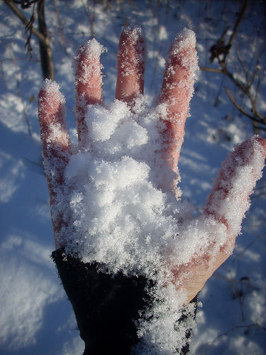 Hand with snow