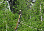 Queen Charlotte Islands