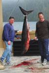 Queen Charlotte Islands