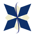 Visage's brand logo